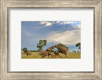 Kenya, Maasai Mara National Park, Young elephants Fine Art Print