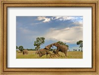 Kenya, Maasai Mara National Park, Young elephants Fine Art Print