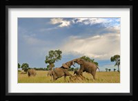 Kenya, Maasai Mara National Park, Young elephants Fine Art Print