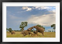 Kenya, Maasai Mara National Park, Young elephants Fine Art Print
