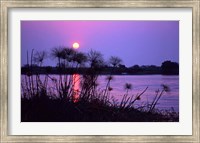 Kenya. Sunset reflects through silhouetted reeds. Fine Art Print