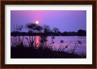 Kenya. Sunset reflects through silhouetted reeds. Fine Art Print