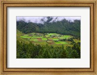 Houses and Farmlands, Gangtey Village, Bhutan Fine Art Print