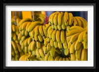 MOROCCO, Atlantic Coast, TAMRI, Market bananas Fine Art Print