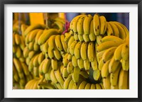 MOROCCO, Atlantic Coast, TAMRI, Market bananas Fine Art Print