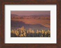 Landscape View, Serengeti National Park, Tanzania Fine Art Print