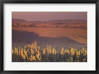 Landscape View, Serengeti National Park, Tanzania Fine Art Print