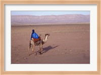 Man in Traditional Dress Riding Camel, Morocco Fine Art Print