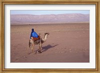 Man in Traditional Dress Riding Camel, Morocco Fine Art Print