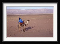 Man in Traditional Dress Riding Camel, Morocco Fine Art Print