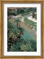 Lush Palms Line the Banks of the Oued (River) Ziz, Morocco Fine Art Print