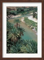 Lush Palms Line the Banks of the Oued (River) Ziz, Morocco Fine Art Print