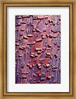 Madrone Tree Bark Abstract pattern Fine Art Print