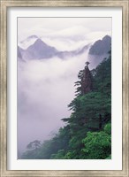 Landscape of Mt Huangshan in Mist, China Fine Art Print