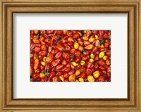 Hot Red Pepper at the Local Market, Madagascar Fine Art Print