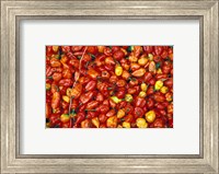 Hot Red Pepper at the Local Market, Madagascar Fine Art Print