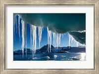 Icicle hangs from melting iceberg by Petermann Island, Antarctica. Fine Art Print