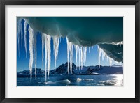 Icicle hangs from melting iceberg by Petermann Island, Antarctica. Fine Art Print