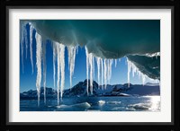 Icicle hangs from melting iceberg by Petermann Island, Antarctica. Fine Art Print