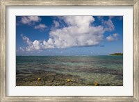 Mauritius, Southern Mauritius, Blue Bay, oceanfront Fine Art Print
