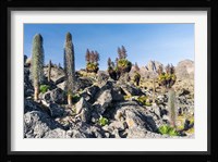 Landscape, Mount Kenya National Park, Kenya Fine Art Print