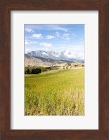 Grassy plains, Semien Mountains National Park, Ethiopia Fine Art Print