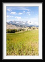 Grassy plains, Semien Mountains National Park, Ethiopia Fine Art Print