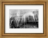 Icicles hang from an ice roof, Cuverville Island, Antarctica. Fine Art Print