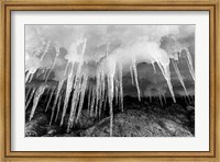Icicles hang from an ice roof, Cuverville Island, Antarctica. Fine Art Print