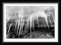Icicles hang from an ice roof, Cuverville Island, Antarctica. Fine Art Print