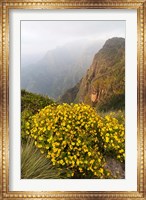 Yellow flowers, Semien Mountains National Park, Ethiopia Fine Art Print