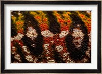 Jewel chameleon skin, lizard, MADAGASCAR Fine Art Print