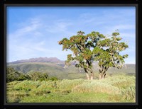 Mount Kenya NP, Site in the highlands of central Kenya, Africa. UNESCO Framed Print