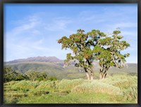 Mount Kenya NP, Site in the highlands of central Kenya, Africa. UNESCO Framed Print