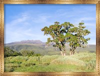 Mount Kenya NP, Site in the highlands of central Kenya, Africa. UNESCO Fine Art Print