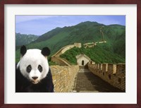 Panda at the Great Wall of China Fine Art Print