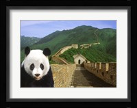 Panda at the Great Wall of China Fine Art Print