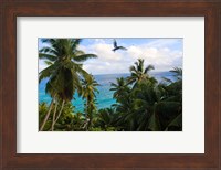 Palm Trees of Anse Victorin Beach, Seychelles, Africa Fine Art Print