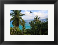Palm Trees of Anse Victorin Beach, Seychelles, Africa Fine Art Print