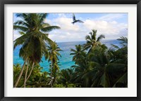 Palm Trees of Anse Victorin Beach, Seychelles, Africa Fine Art Print