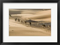 MOROCCO, Tafilalt, Camel Caravan, Erg Chebbi Dunes Fine Art Print