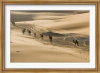 MOROCCO, Tafilalt, Camel Caravan, Erg Chebbi Dunes Fine Art Print