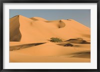 MOROCCO, Tafilalt, MERZOUGA: Erg Chebbi Desert Fine Art Print