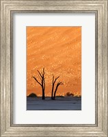 Namibia, Namib-Naukluft, Sossusvlei Desert, Dead Vlei Fine Art Print