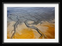 Namibia, Walvis Bay, Namib Rand Desert Fine Art Print