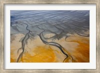 Namibia, Walvis Bay, Namib Rand Desert Fine Art Print