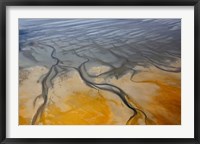 Namibia, Walvis Bay, Namib Rand Desert Fine Art Print