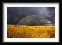 Rainbow in mist, Maasai Mara Kenya Fine Art Print