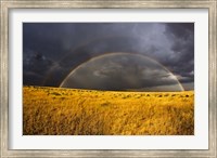 Rainbow in mist, Maasai Mara Kenya Fine Art Print