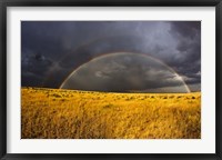 Rainbow in mist, Maasai Mara Kenya Fine Art Print